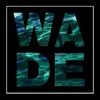 About Wade Song