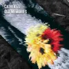 About Old Memories Song