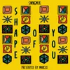 Shape of You Swngmix