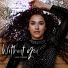 About Without You Song