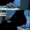 About What U Want Song