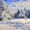 About Frozen Nature Song