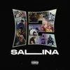 About Salina (c'est La Rue) Song
