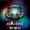 About Hey Mr Dj Song