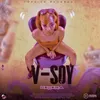 About V-soy Song