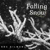 About Falling Snow Song