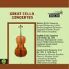 Cello Concerto in B Minor, Op. 104: 1. Allegro