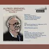About Piano Concerto No.10 in E-flat major, K.365: II. Andante (arr. for Two pianos and Orchestra) Song