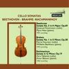 Cello Sonata No.3 in A major, Op.69: 1. Allegro, ma non tanto