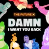 About Damn, I Want You Back Song