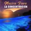 Consentracion Para Leer