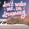 About Don't Wake Me, I'm Dreaming Song