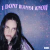 About I Don't Wanna Know Song