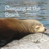 Sleeping at the Beach