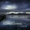 About Silent Ocean Song