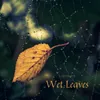 About Wet Leaves Song