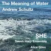 About The Meaning of Water Song