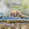 About Soft Tapping Song