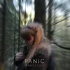 About Panic Song