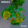 Iona