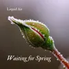 Waiting for Spring