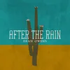 About After the Rain Song