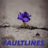Faultlines