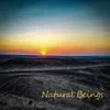 Natural Beings