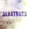 About Albatross Song
