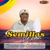 Semillas de Paz