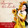 About Amiga del Olvido Song