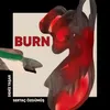 About Burn Song