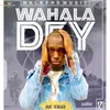 About Wahala Dey Song