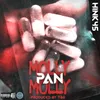 About Molly Pan Molly Song