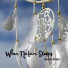 About When Nature Sleeps Song