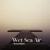 About Wet Sea Air Song