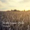 About In the Summer Fields Song
