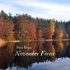 November Forest