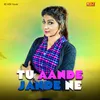 About Tu Aande Jande Ne Song