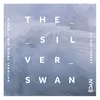 The Silver Swan