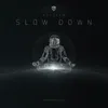About Slow Down Song