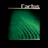 About Cactus Song