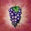 About Grape Vapour Song