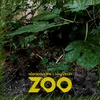 About Zoo Song