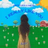 About I Really Like You Song