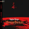 About Umsebenzi Song