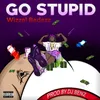 About GO STUPID Song