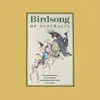 About Noisy Friarbird Song