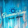 About Summertime Song