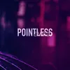 About Pointless Song